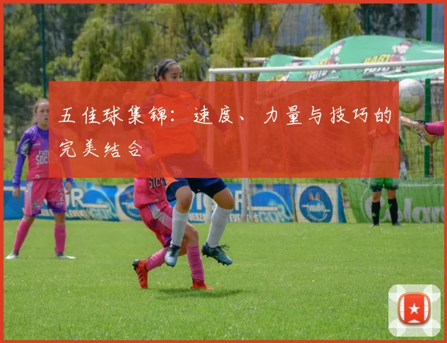 五佳球集锦:速度、力量与技巧的完美结合